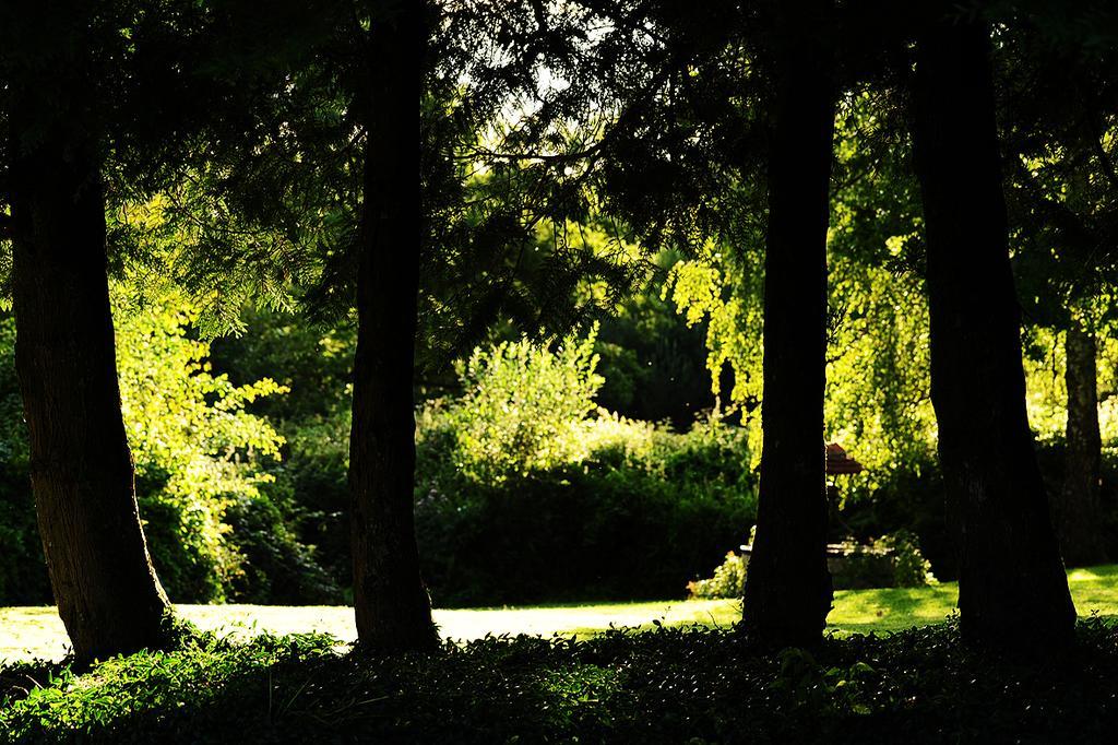 Kimaro Farmhouse Colméry Exteriör bild